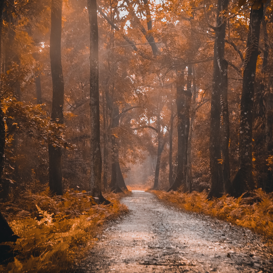Ritueel van de maand September