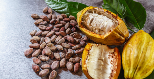 De voordelen van ceremoniele cacao