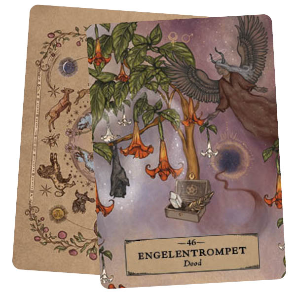 Het kruiden astrology orakel kaartenset
