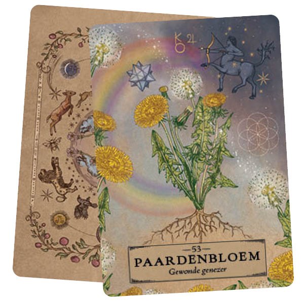 Het kruiden astrology orakel kaartenset
