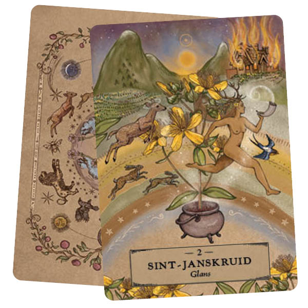 Het kruiden astrology orakel kaartenset